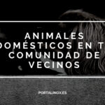 ¿Es legal que una comunidad vecinal prohíba las mascotas? Derechos del propietario de la vivienda.