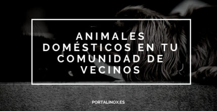 es legal que una comunidad vecinal prohiba las mascotas derechos del propietario de la vivienda