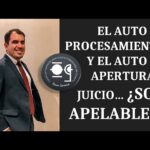 Auto De Procesamiento