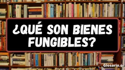 bienes fungibles 1