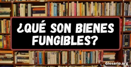 bienes fungibles 3