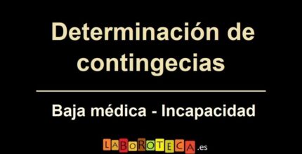 contingencias profesionales