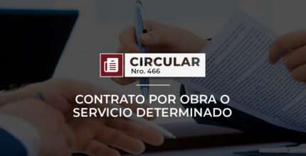 contrato por obra y servicio