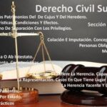 derecho de representacion: Definicion, Concepto, Aplicación