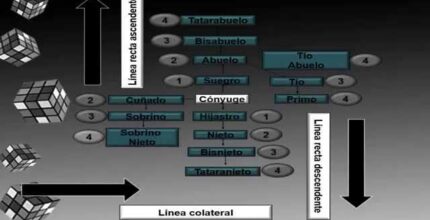 grados de consanguinidad