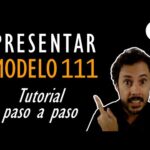 Modelo 111