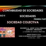 sociedad colectiva: Definicion, Concepto, Aplicación