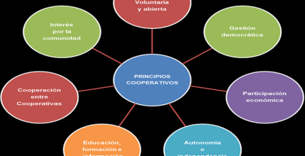 sociedad cooperativa definicion concepto aplicacion