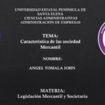 Sociedad Mercantil Estatal