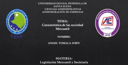 sociedad mercantil estatal