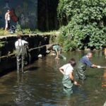 Trabajos En Beneficio De La Comunidad