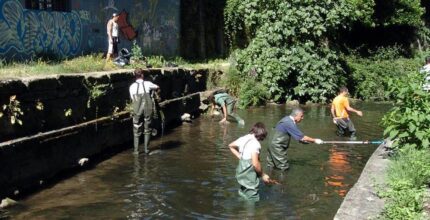 trabajos en beneficio de la comunidad