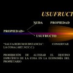 usufructo: Definicion, Concepto, Aplicación