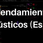 Aspectos Legales del Arrendamiento Rústico Gratuito