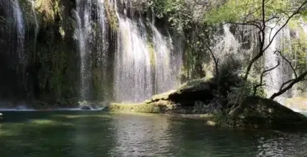 como identificar el modelo de un inodoro bellavista 2