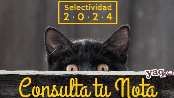 como reclamar la nota de selectividad en andalucia 1